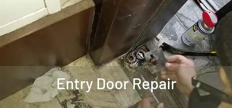  Entry Door Repair 